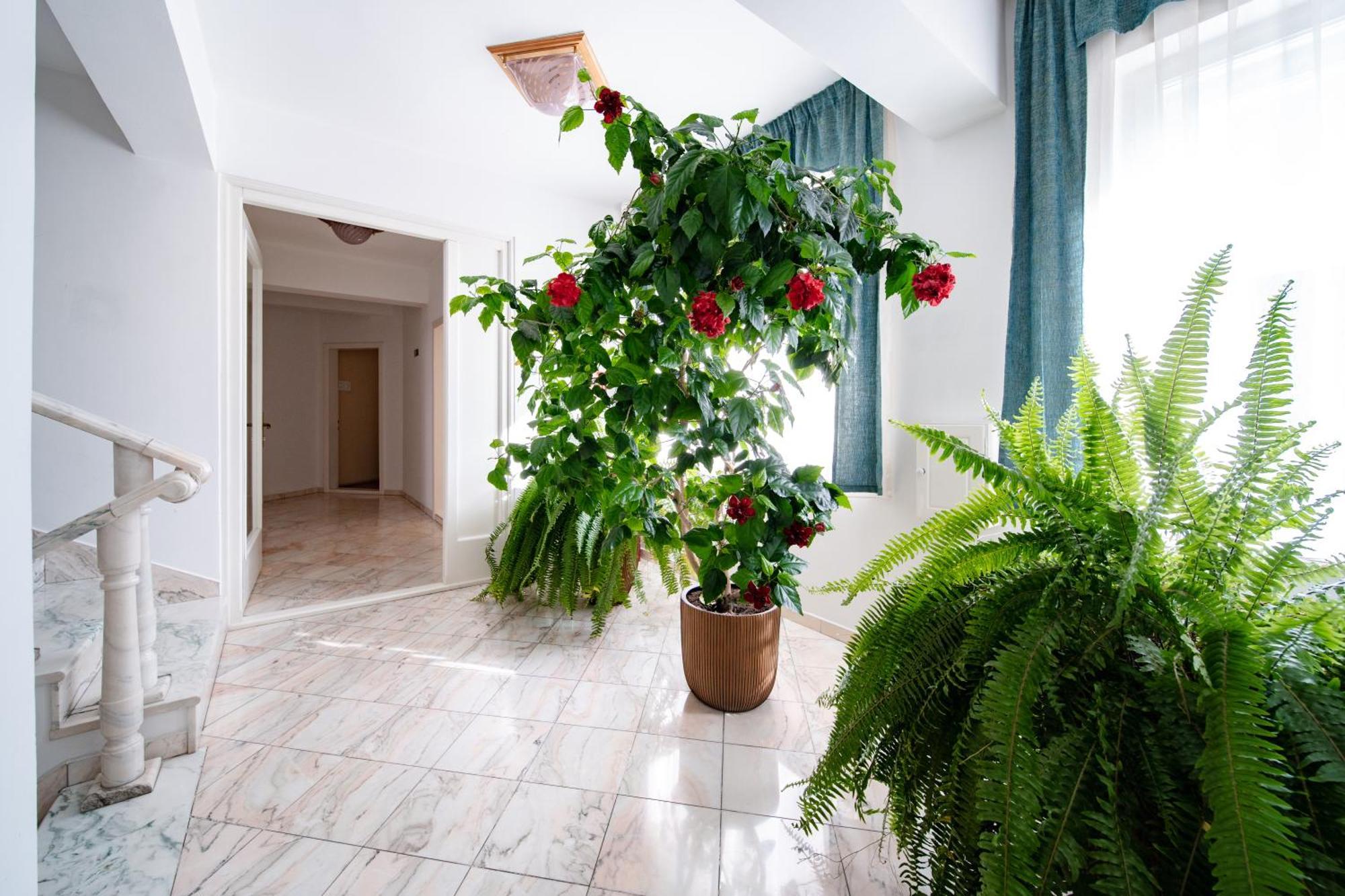 Hotel Lilla Panzio Odorheiu Secuiesc Exteriér fotografie